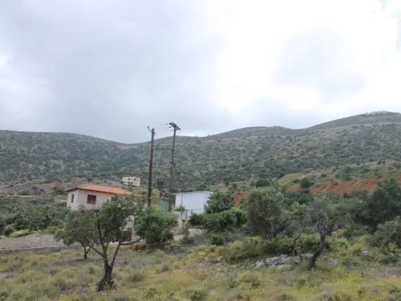 Business In Mallia, Greece (4.000 M²)