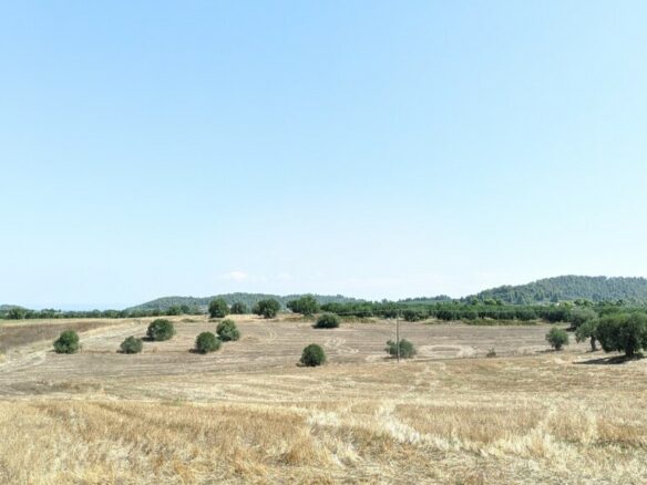 Land In Kassandra, Greece