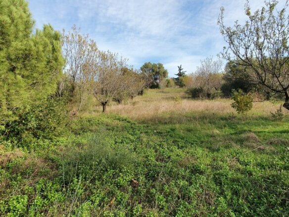 Expansive 2000 M² Parcel In Scenic Chalkidiki