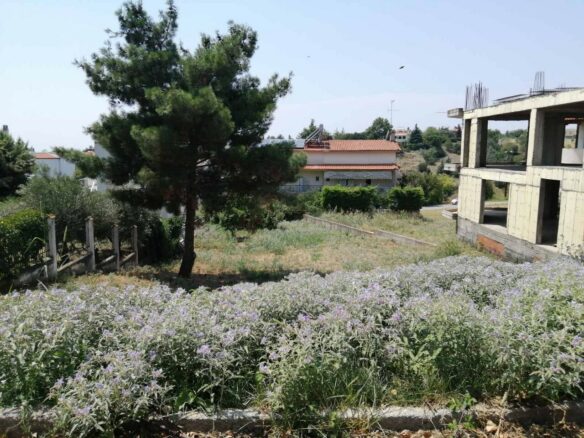 Land In Panorama, Greece