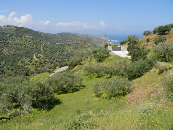Land In Siteia, Greece