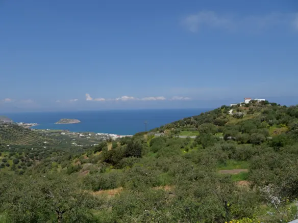 Land In Siteia, Greece