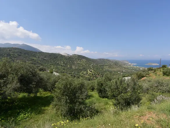 Land In Siteia, Greece