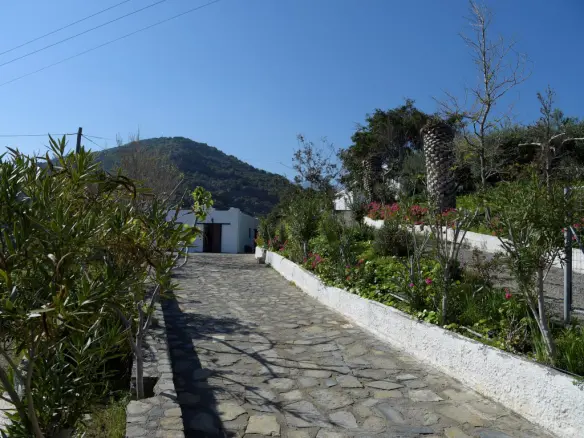 Land In Siteia, Greece