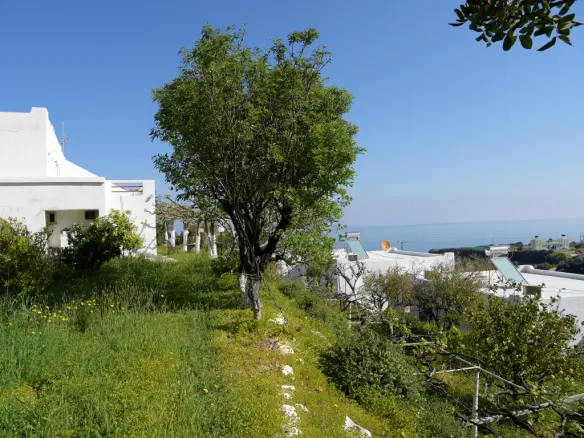 Land In Siteia, Greece