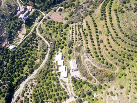 Land In Siteia, Greece