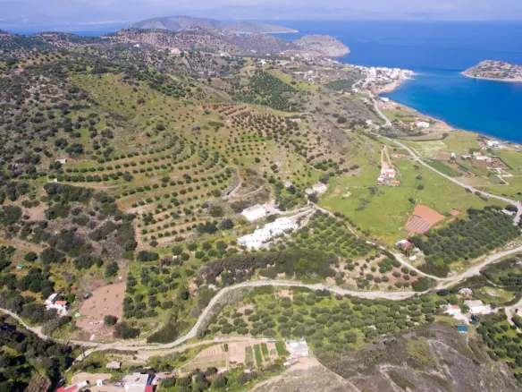 Land In Siteia, Greece