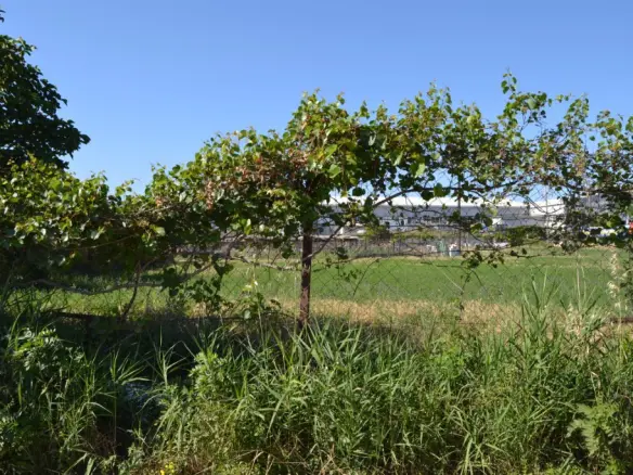 Land In Heraclion Cretes, Greece (6.250 M²)