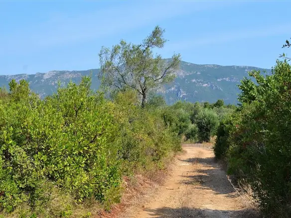 Land In Corfu, Greece