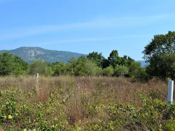 Land In Corfu, Greece
