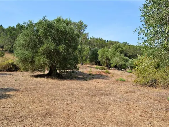 Land In Corfu, Greece