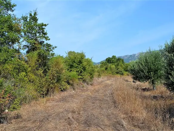 Land In Corfu, Greece