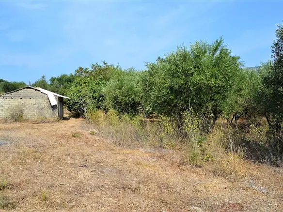Land In Corfu, Greece