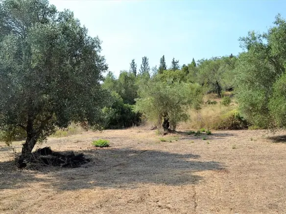 Land In Corfu, Greece