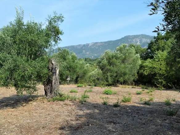 Land In Corfu, Greece