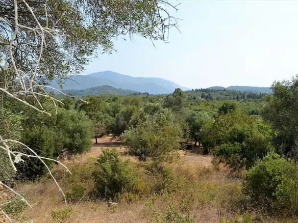 Land In Corfu, Greece