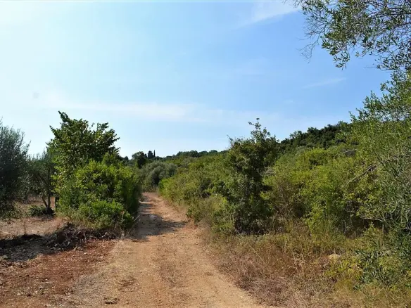 Land In Corfu, Greece