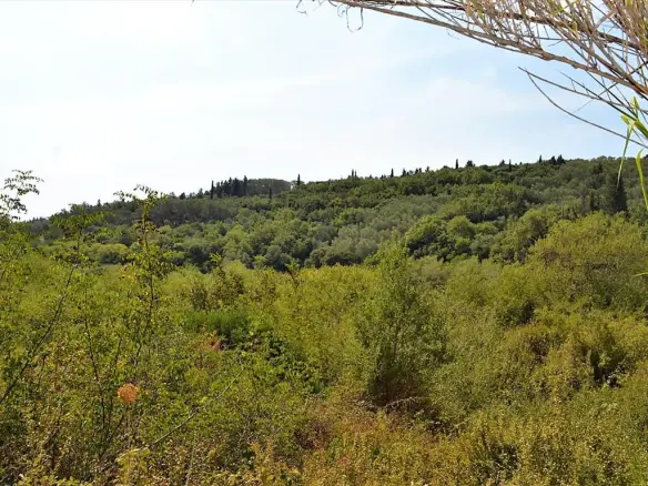 Land In Corfu, Greece