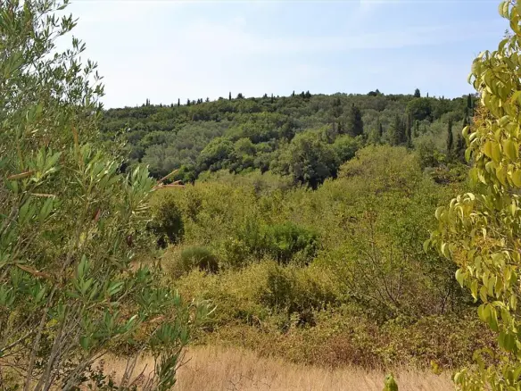 Land In Corfu, Greece