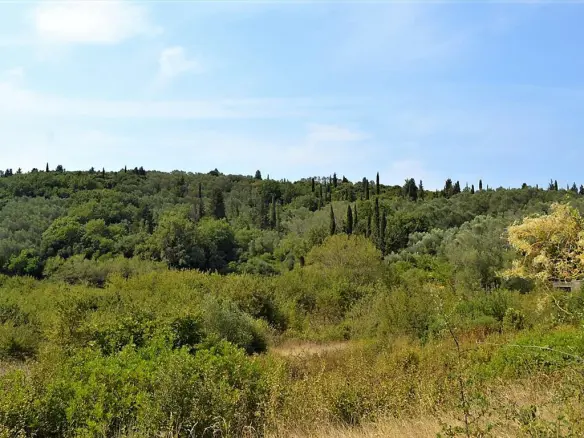 Land In Corfu, Greece