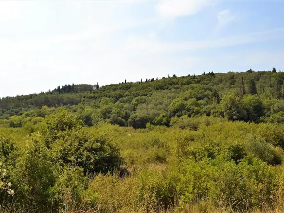 Land In Corfu, Greece