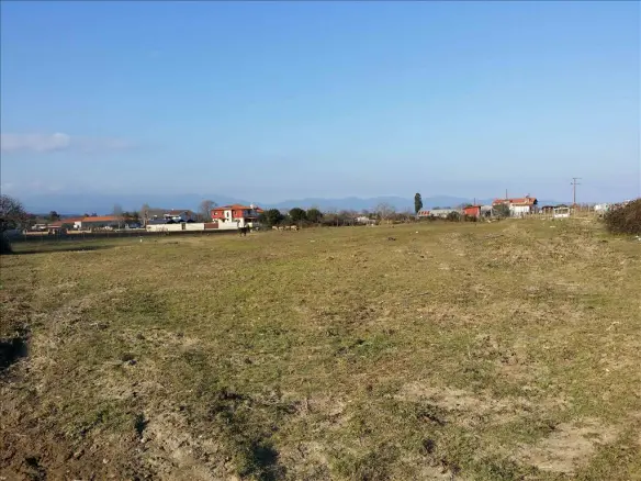 Land In Aristotle, Greece