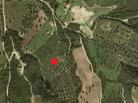 Land In Kassandra, Greece