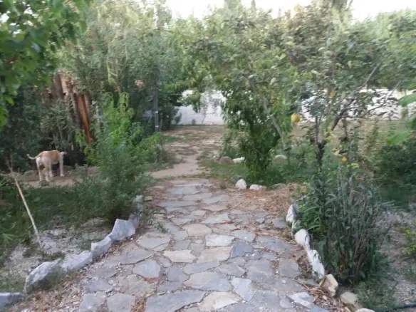 Business In Volos, Greece (320 M²)