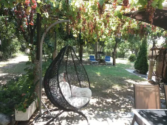 Business In Volos, Greece (320 M²)