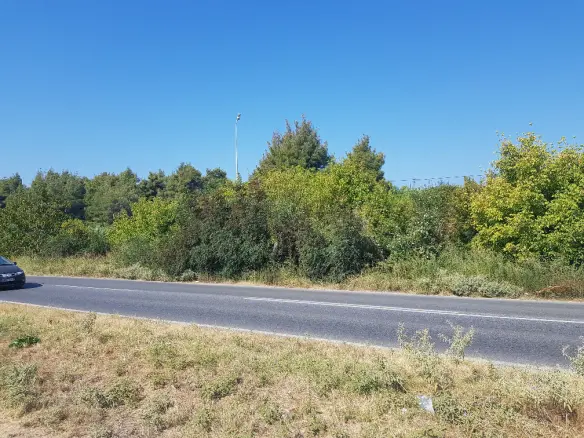Land In Kassandra, Greece