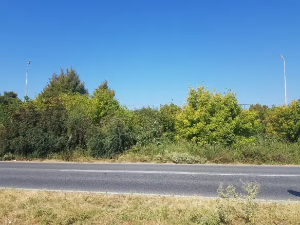 Land In Kassandra, Greece