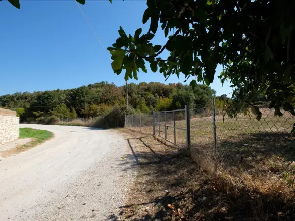 Land In Corfu, Greece