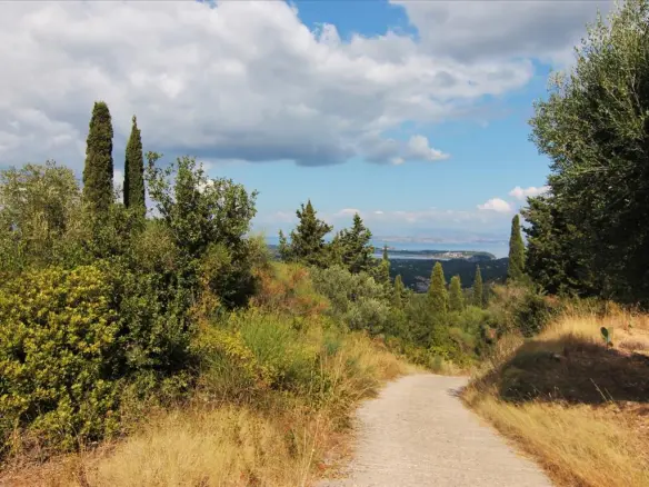 Land In Corfu, Greece