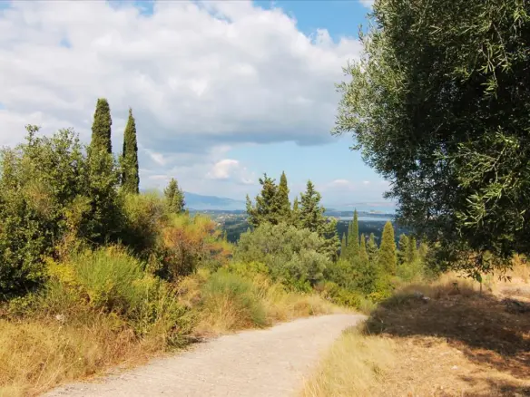 Land In Corfu, Greece