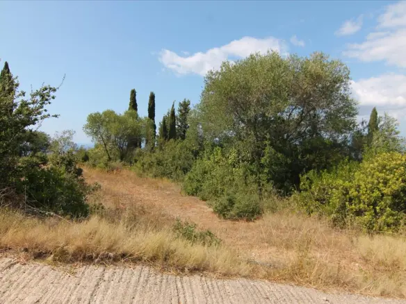 Land In Corfu, Greece