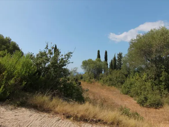 Land In Corfu, Greece