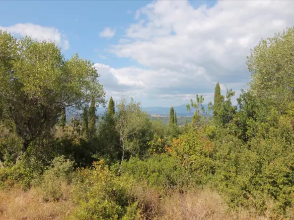 Land In Corfu, Greece