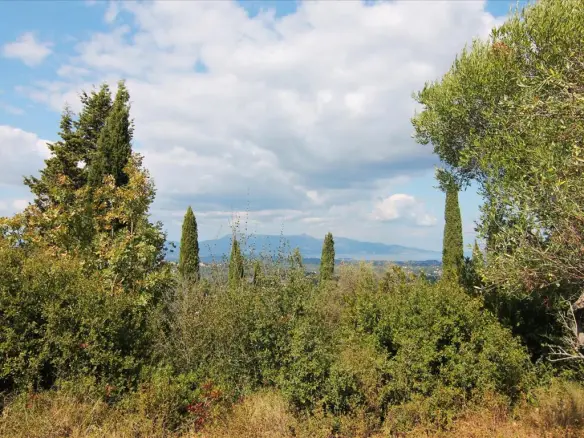 Land In Corfu, Greece