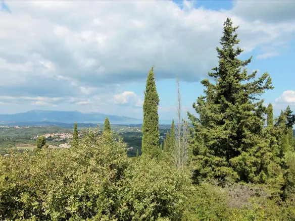 Land In Corfu, Greece