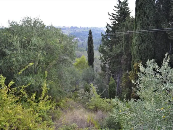 Land In Corfu, Greece