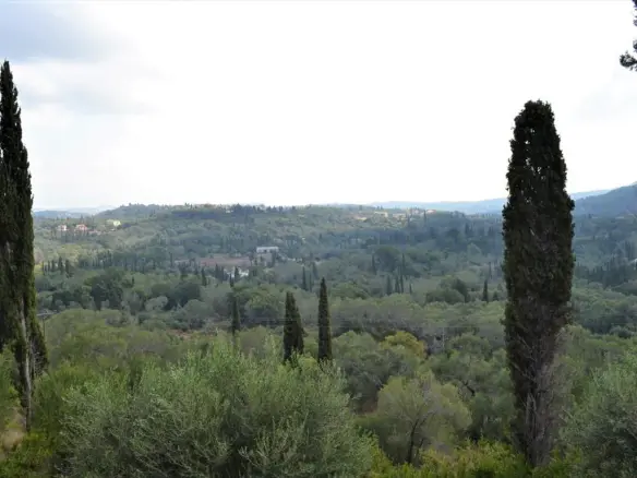 Land In Corfu, Greece