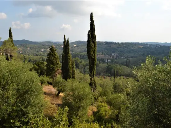 Land In Corfu, Greece