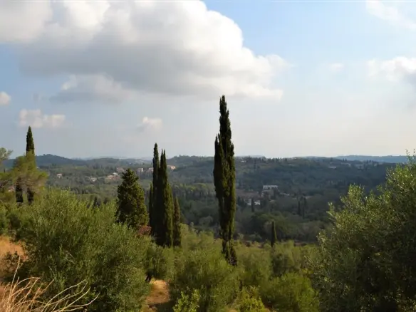 Land In Corfu, Greece