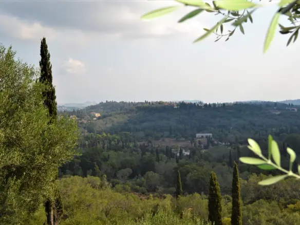 Land In Corfu, Greece