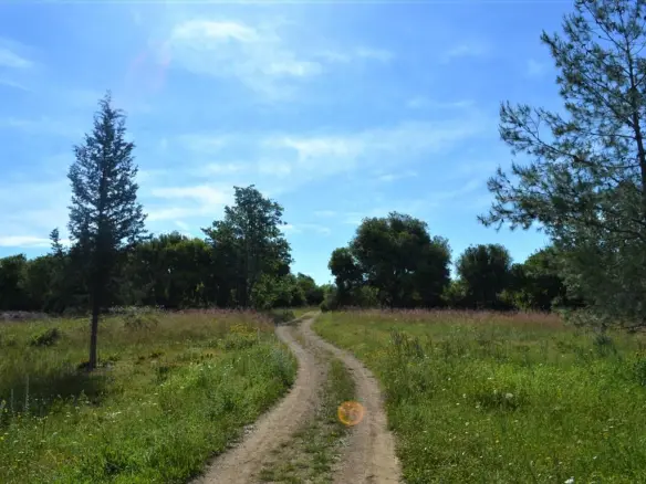 Land In Corfu, Greece
