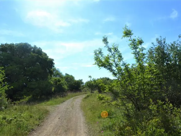 Land In Corfu, Greece