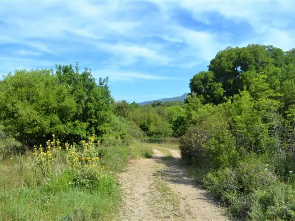 Land In Corfu, Greece