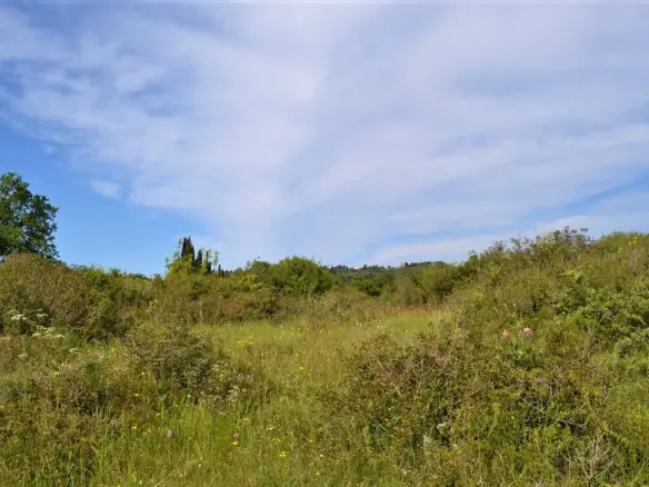 Land In Corfu, Greece