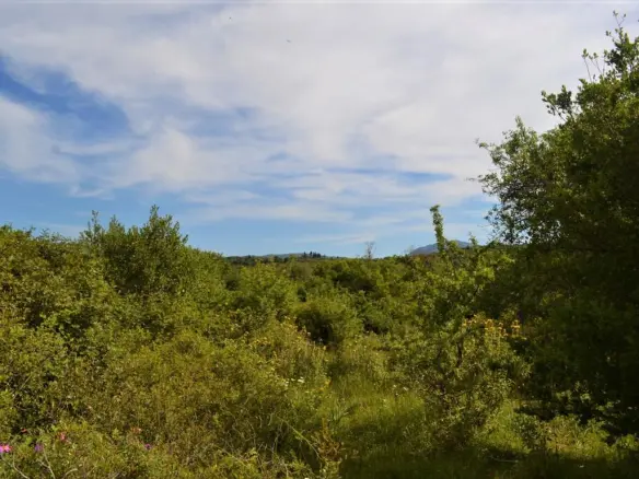 Land In Corfu, Greece