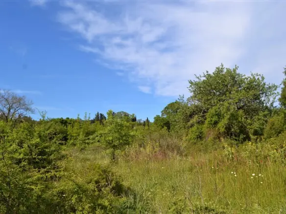 Land In Corfu, Greece